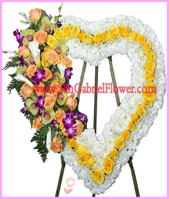 heart