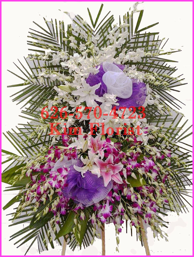 orchid spray