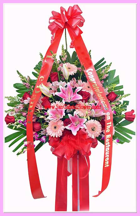 grand open flower