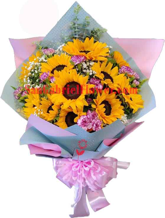 sunflower